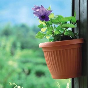 WALL VASE 'CRETA' cm 25x50x50h Intricate <b>Turning</b> <b>Tool</b> for Decorative Wall Display Italian distributor - Product Image 3