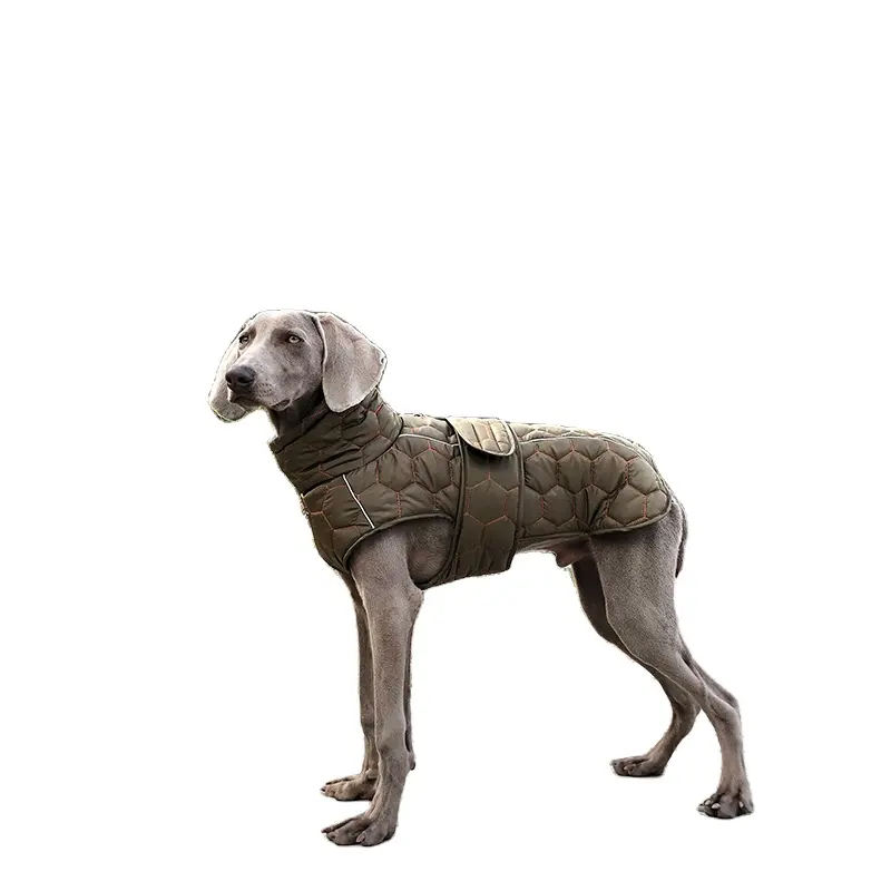 Chaqueta de moda para perros, abrigo grueso y cálido para suministros, ropa para mascotas, ropa de invierno de lujo para perros, chaleco