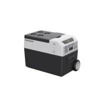 Mini-réfrigérateur/congélateur portable 12V pour voiture, 30/40/50L, personnalisé, pour voyages et camping