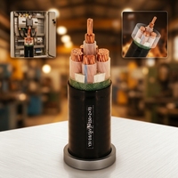 Cable de Alimentación VV con Aislamiento de PVC y Cubierta de Cobre de 0.6/1kV para Ferrocarril, Metro, Transporte por Vía Férrea, Señalización, Tracción y Suministro de Energía