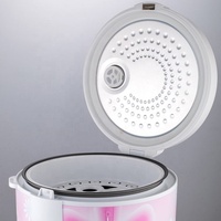Cuiseur à riz électrique, fonction de maintien au chaud automatique, revêtement antiadhésif, Pot intérieur 700w 3L 500W cuiseur à riz polyvalent