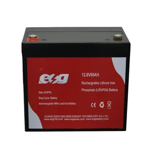 ESG 12v 50Ah 100Ah 150Ah 200Ah BMS Batterie au lithium stockage d'énergie Lifepo4 batterie au lithium li-ion