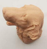 Gelsonlab HSBM-535 modèle de prélèvement sanguin et de perfusion de veine jugulaire canine