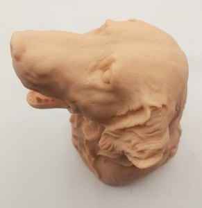 Gelsonlab HSBM-535 model infusi dan koleksi darah urat gula anjing - Product Image 2