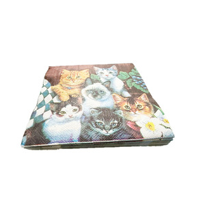 <span class=keywords><strong>Tovaglioli</strong></span> di carta con stampa di gatto <span class=keywords><strong>tovaglioli</strong></span> di carta per cena Temi di animali domestici Shabby Chic servilleas <span class=keywords><strong>tovaglioli</strong></span> <span class=keywords><strong>Decoupage</strong></span> - Product Image 6