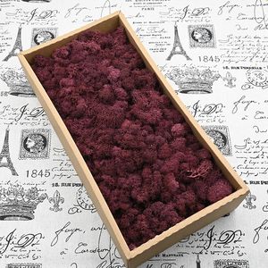 घरेलू सजावट कंपनी पृष्ठभूमि दीवार भूनिर्माण मोएस बहु-रंग सुपरमॉस संरक्षित मॉस थोक - Product Image 5