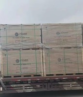 Panneau solaire Risen RSM132-8 Series 650W-670W haute puissance, type N, MWT, BIPV, HBC, module mono PERC avec 132 cellules