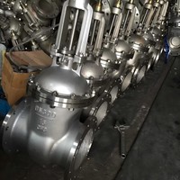 Válvula de Compuerta Industrial Profesional de Acero Fundido con Vástago Ascendente, Sello Metal a Metal y Acabado de Acero Inoxidable 316