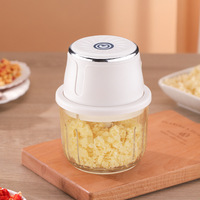 Mini hachoir à ail 45W, hachoir à ail, robot culinaire ménager, préparateur de nourriture pour bébé, moulin à ail, hachoir à viande