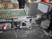 Productielijn voor het weken, wassen, sorteren en luchtdrogen van lotuswortel, gember en taro voor de voorbewerking van diepvriesfruit en -groenten in een fabriek.