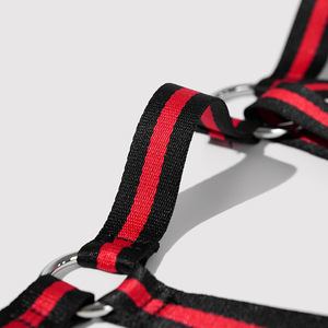 Nouvel ensemble de harnais de poitrine SM sexy pour le commerce extérieur, avec entrave de main inversée et menottes pour les mains et les pieds, accessoires de bondage pour couple adulte T676 - Product Image 4