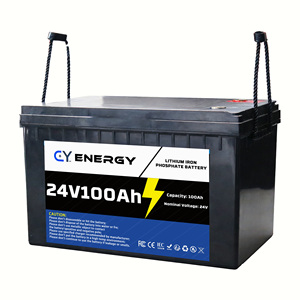 <span class=keywords><strong>2026</strong></span> CY 25.6V 100Ah LiFePO4 딥 사이클 에너지 저장 배터리 팩 BMS IP65 6000 사이클 - Product Image 3