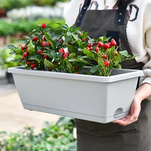 DEEPBANG 도매 높은 내구성 식물 냄비 50*19*15cm 홈 야채 꽃 심기 플라스틱 화분 및 재배자