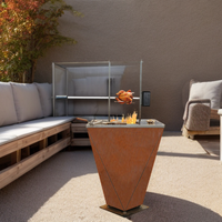 Foyer en acier Corten de BBQ enduit de poudre de style moderne caractéristique extérieure durable et élégante