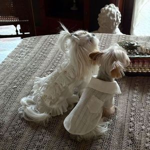 Abbigliamento per Cani: Gonne e Felpe Moderne per Primavera ed Estate in Fibra di Poliestere Portatile - Product Image 1