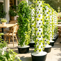 Systèmes de culture hydroponique en tour aéroponique, jardin en tour, système hydroponique vertical