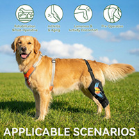 Attelle de genou respirante et réglable en néoprène pour chien, avec harnais de poitrine et rivets solides, pour soutien des pattes des animaux âgés et récupération post-chirurgicale