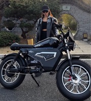 Exportation transfrontalière Moto tout-terrain électrique HIMOTO Black Warrior 48V 3000W avec moteur avant, autonomie de 70-140 km