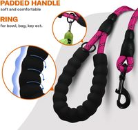 Laisse de chien en Nylon réfléchissant à la mode à dégagement rapide poignée en mousse souple Simple crochet en alliage de Zinc corde d'escalade Durable sécurité nocturne