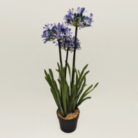 Pot Bunga Agapanthus Buatan Simulasi Tinggi Desain Fashion, Ramah Lingkungan, Tahan Lama, Modern untuk Dekorasi Lanskap Kantor & Taman
