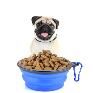 Portable 650ml Personnalisé Pliable Silicone Pet Bowl Élégant Pliable En Caoutchouc Bols D'eau pour Chats et Chiens - Product Image 5