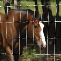 Rouleau de clôture en fil métallique tissé à nœuds fixes, grillage galvanisé pour chèvres, porcs, moutons, bovins et gibier, clôture de ferme