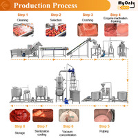 MY Ketchup Process Plant Line Petite machine de traitement de la pâte de tomate en conserve Ligne de production de sauce tomate