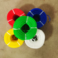 Nouvelle Corde de Pêche en Nylon Torsadé 380D, PP, PE, Diamètres 1.5mm, 2mm, 3mm, 5mm, Matériau Polyéthylène, Emballée en Rouleau, Bobine, Filets, Emballage