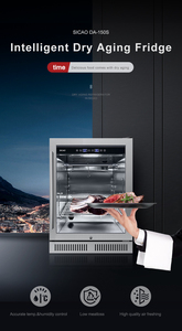 Máy Làm Thịt Bò Khô Lão Hóa Thương Mại Tủ Bảo Quản Thịt Tủ Lạnh Lão Hóa Thịt Bò Salami Thịt Bò Hoặc Ham Tủ Lạnh Khô Lão Hóa - Product Image 3