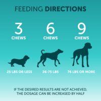 Chien mâche des friandises probiotiques Supplément pour animaux de compagnie Santé intestinale Immunité cesse de manger des matières fécales Santé Complément dentaire pour animaux de compagnie