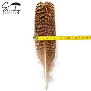 Plumas de pavo real natural barradas y moteadas de 10-12 pulgadas/12-14 pulgadas al por mayor para atado de moscas, sombrerería, manualidades y decoraciones - Product Image 3