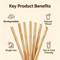 Pajitas de Madera Natural Ecológicas, Biodegradables y Desechables para Bebidas, Venta al Por Mayor