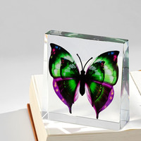 Bloc de spécimen de papillon en résine, presse-papiers insecte simulé, décoration de bureau, aide pédagogique scientifique, cadeau