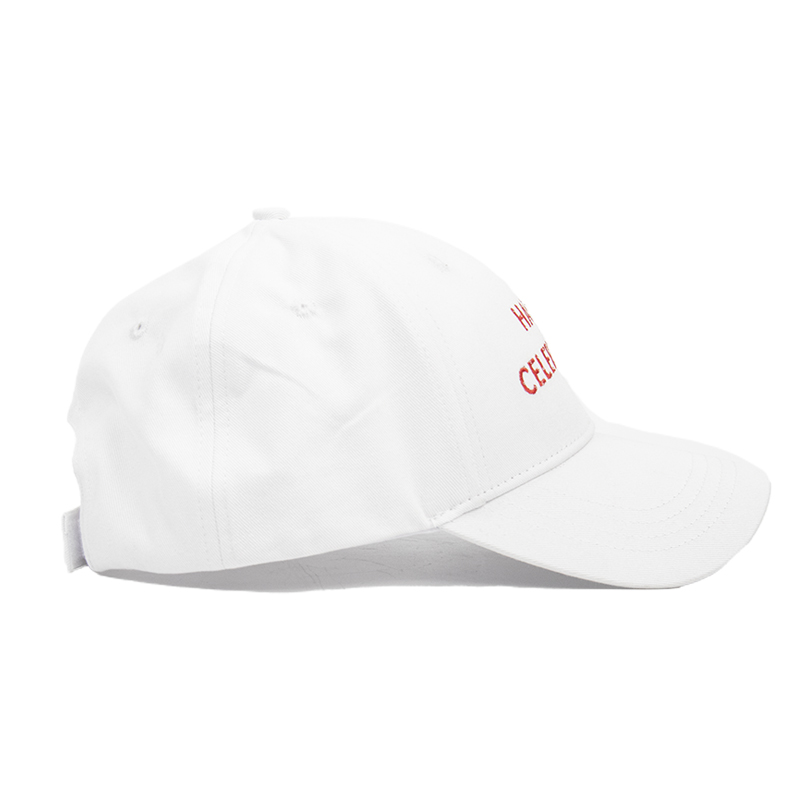 Fashion custom new design 6 Panel Unisex  Cotton Embroidery Laser Perforated Hole Rubber Patch Baseball Hat Sport Cap