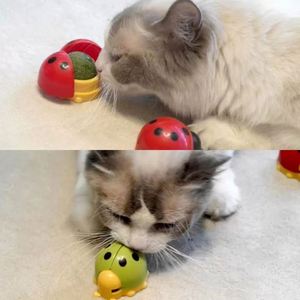 Nouveauté 2024 : Balles de Catnip Ladybird pour chats, jouet rotatif, balles comestibles naturelles et saines, auto-adhésives - Product Image 2