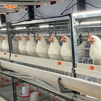 KANGFA Nigeria Cage à poulets de chair type H avec système d'alimentation et d'abreuvement automatique pour 20 000 oiseaux, galvanisée à chaud
