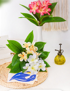 Fleurs artificielles Real Touch <span class=keywords><strong>Frangipanier</strong></span> Plantes tropicales Home Party Wedding Home Decoration Plumeria Foam Flowers - Product Image 4