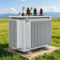 Transformateur de distribution de puissance immergé dans l'huile Taishun S11 à usage agricole, 2500-4000 kVA, 50/60 Hz, triphasé, 6,6 kV-10 kV