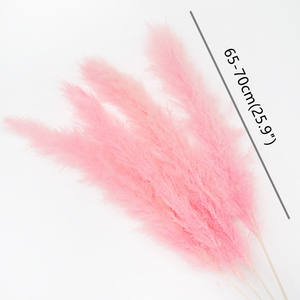 Pampas rosas perfectas para decoración del hogar, flores secas grandes y esponjosas, hierba Natural seca - Product Image 4