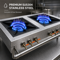 Cuisinière à gaz commerciale à 2 brûleurs, plaque de cuisson wok en acier inoxydable, cuisinière chinoise pour restaurant et cuisine