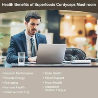 Gomitas de Hongos de Alta Potencia 2500mg, Estimulan la Capacidad Cerebral y la Inmunidad, Servicio de Etiqueta Privada Personalizada, Venta Caliente Transfronteriza