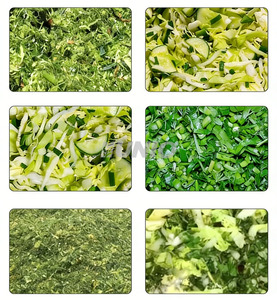 Nueva Máquina Picadora de Vegetales Automática de Acero Inoxidable 220V 2026 con Mango Ergonómico y Alimentador de Aves - Product Image 6