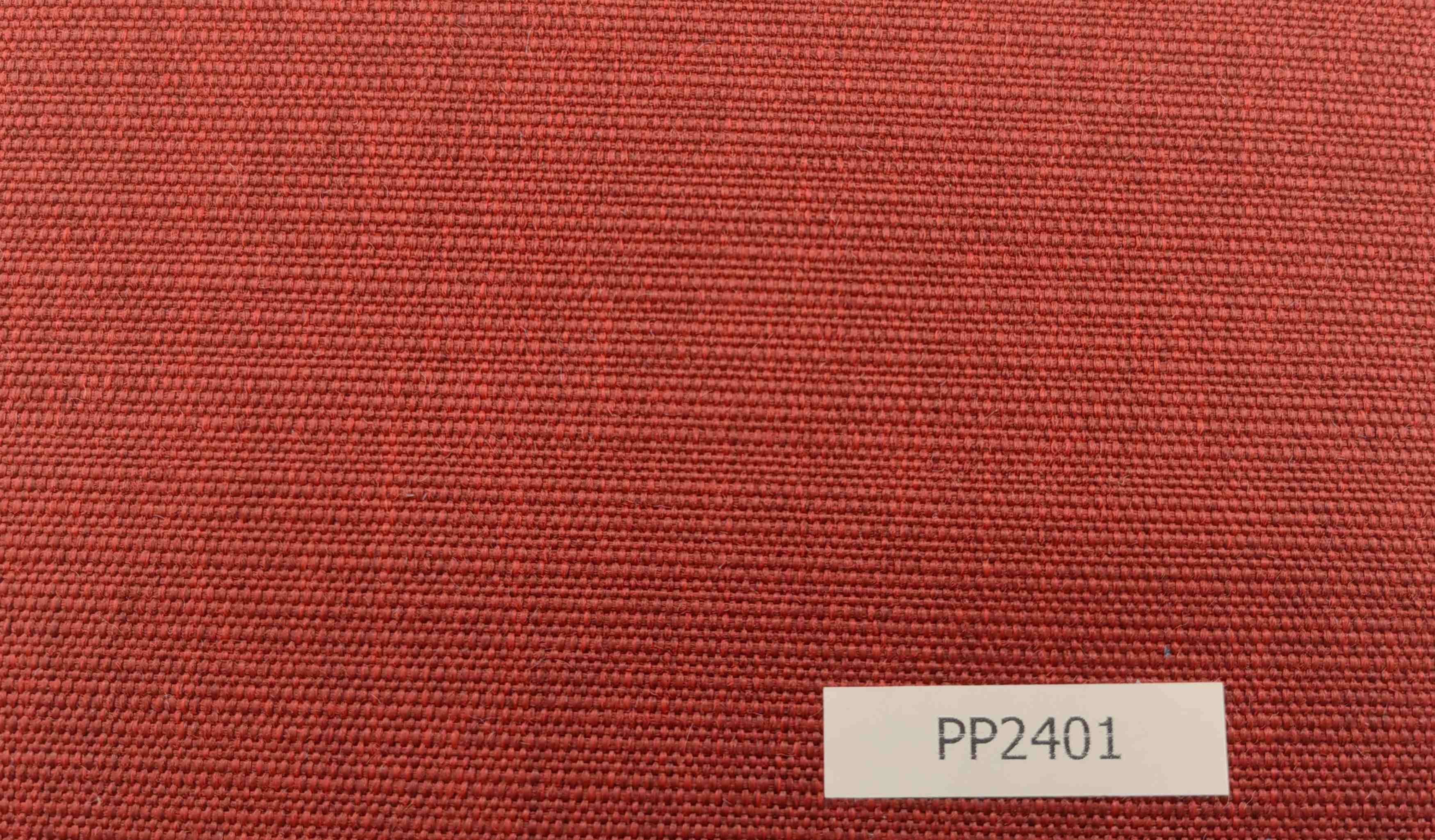 PP2401