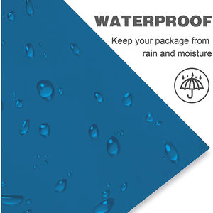 Sacs d'expédition en polyéthylène imprimés sur mesure, légers, opaques, avec fermeture autocollante, pour les besoins d'expédition e-commerce aux États-Unis - Product Image 5