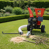 Broyeur de souches de tracteur robuste pour usage agricole et forestier