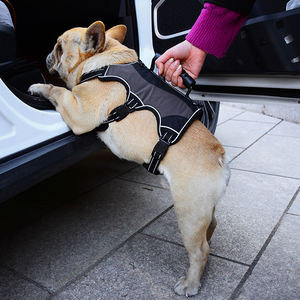 Arnés <span class=keywords><strong>de</strong></span> lujo <span class=keywords><strong>para</strong></span> perros <span class=keywords><strong>de</strong></span> alta resistencia personalizado al por mayor arnés <span class=keywords><strong>de</strong></span> soporte <span class=keywords><strong>emocional</strong></span> personalizable <span class=keywords><strong>para</strong></span> perros grandes arneses ajustables <span class=keywords><strong>para</strong></span> mascotas - Product Image 6