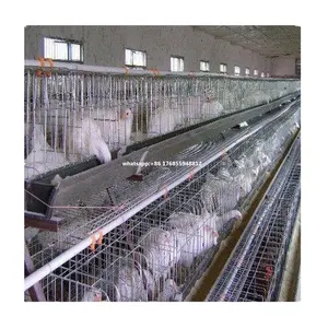 Poultry Farm House Design For Layer Chicken Cage In Africa Kenya Farm