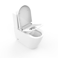 Toilette intelligente moderne inteligente électrique à distance avec chasse d'eau automatique bidet toilette intelligente monobloc