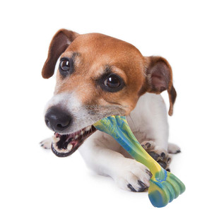Nylon Agressieve Molaire Reiniging Kauwtandenborstel Hond Speelgoed Bijtbestendig Training Bot Stick Hond Kauwspeelgoed - Product Image 5