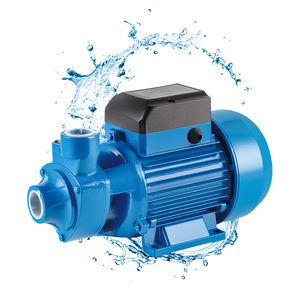 Pompe à eau périphérique électrique domestique pour jardin, moteur électrique 0,5 CV 370 W 1 pouce 220 volts <span class=keywords><strong>QB60</strong></span> 0,75 CV 1 CV - Product Image 1